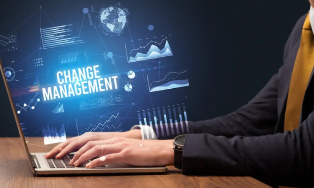 Drive your Business successfully with our change management service